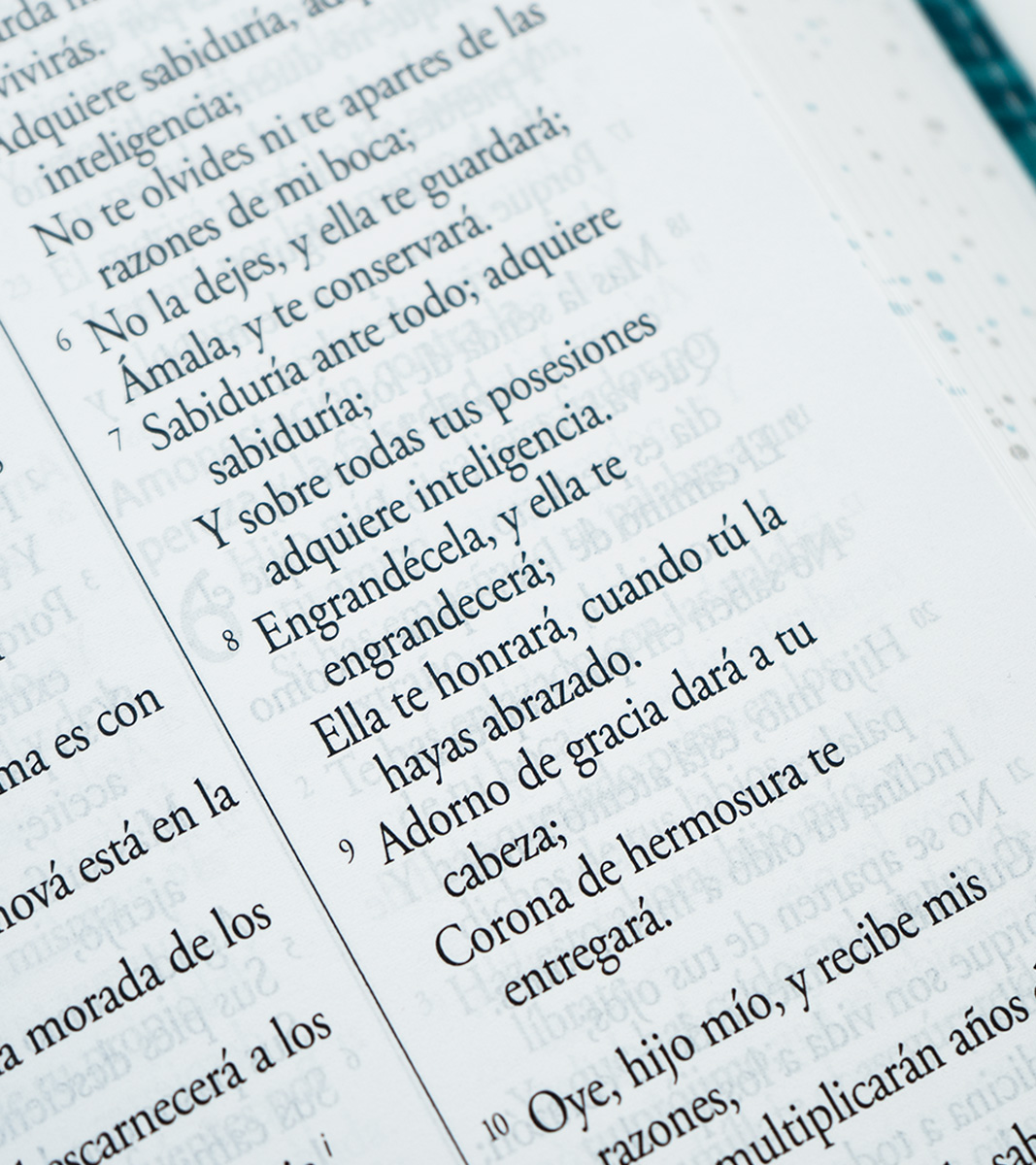 Biblia RVR 1960 Letra Gigante Tamaño Manual - Imitacion Piel Azul Pajaros - Image 5