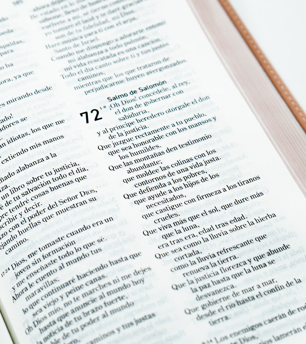 Biblia El Mensaje - Imitacion Piel Rosa - Image 5