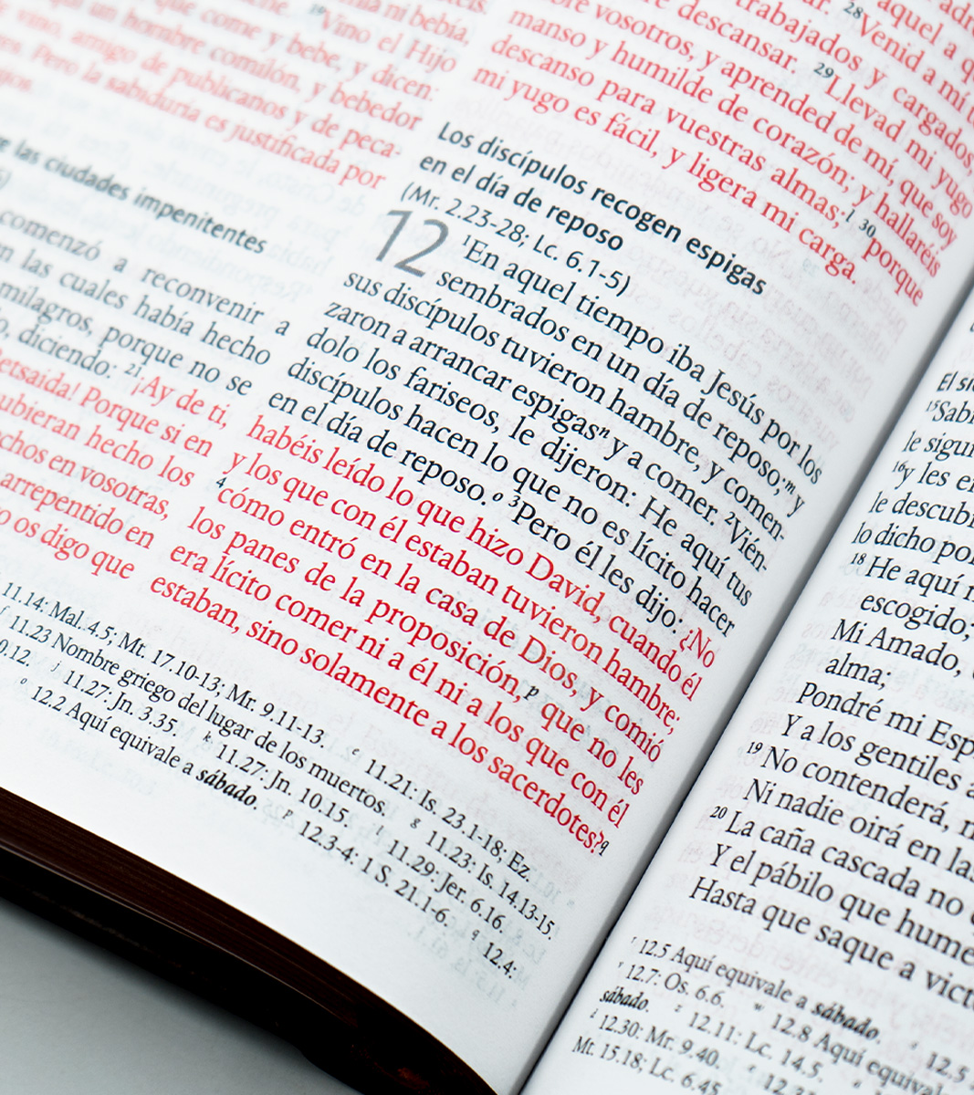 Biblia Letra Grande Tamaño Manual – RVR 1960 Tapa Dura Leon de Juda Bronce - Image 4