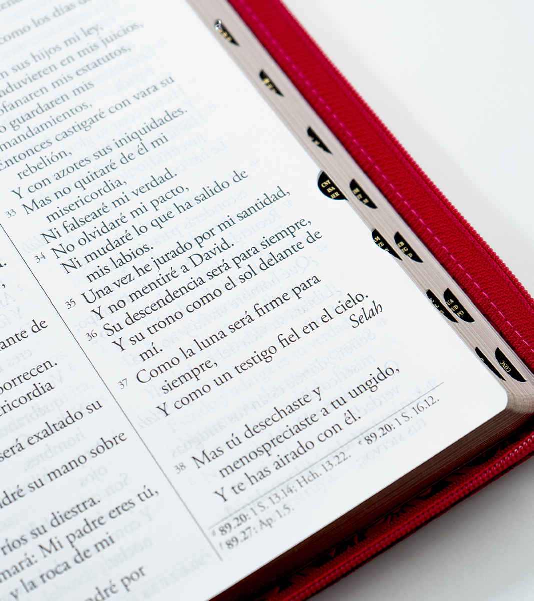 Biblia Letra Super Gigante - RV1960 Imitacion Piel Fucsia Con Cierre e Indice - Image 6
