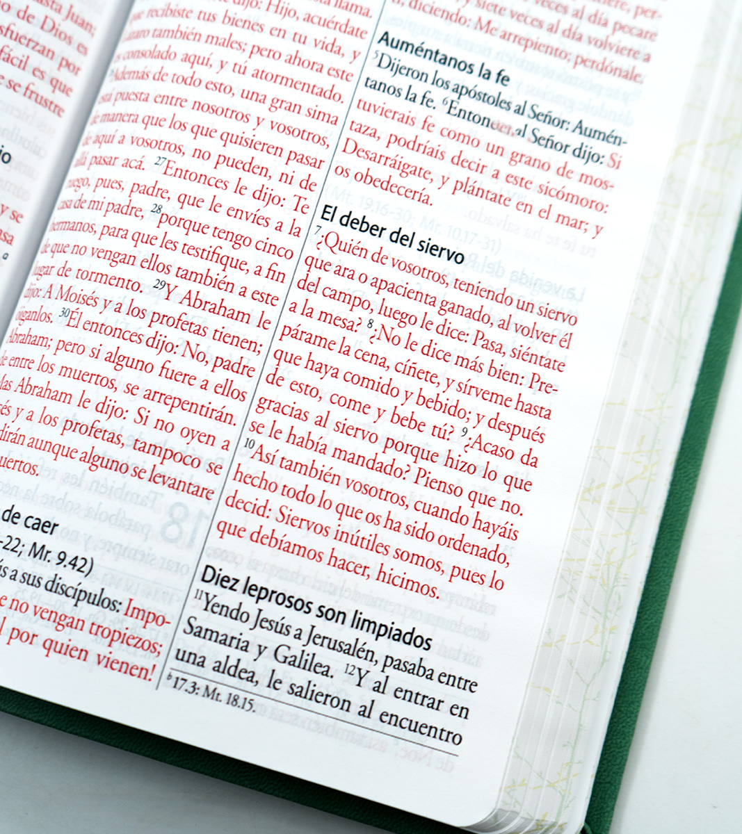 Biblia RVR 1960 Letra Gigante Tamaño Manual - Imitacion Piel Verde Pajaros - Image 4
