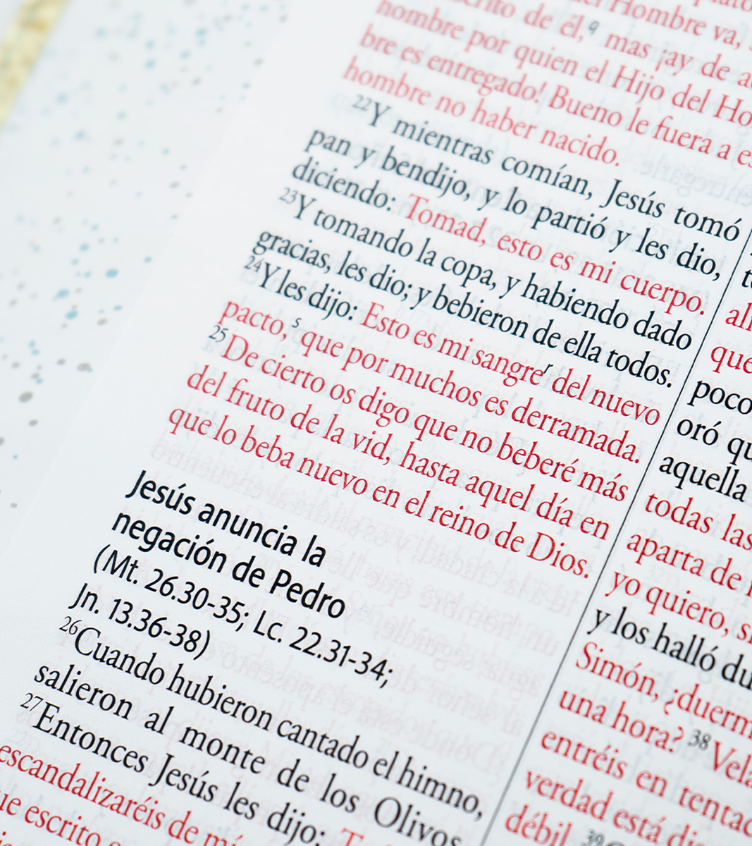 Biblia RVR 1960 Letra Gigante Tamaño Manual - Imitacion Piel Azul Pajaros - Image 4