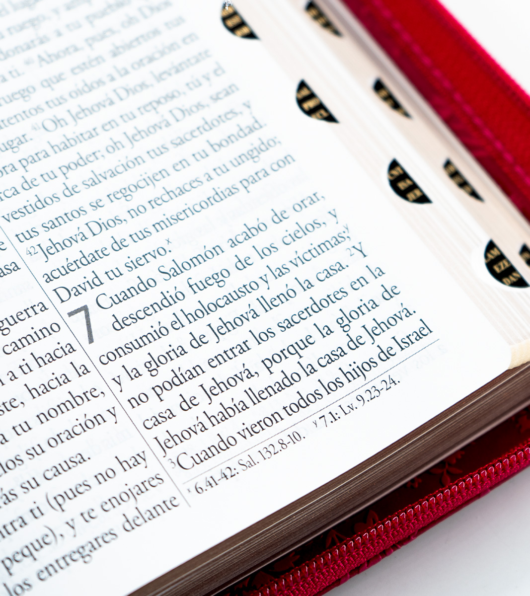 Biblia RVR 1960 Letra Grande Tamaño Manual Con Cierre e Inidice - Imitacion Piel Rosado - Image 5