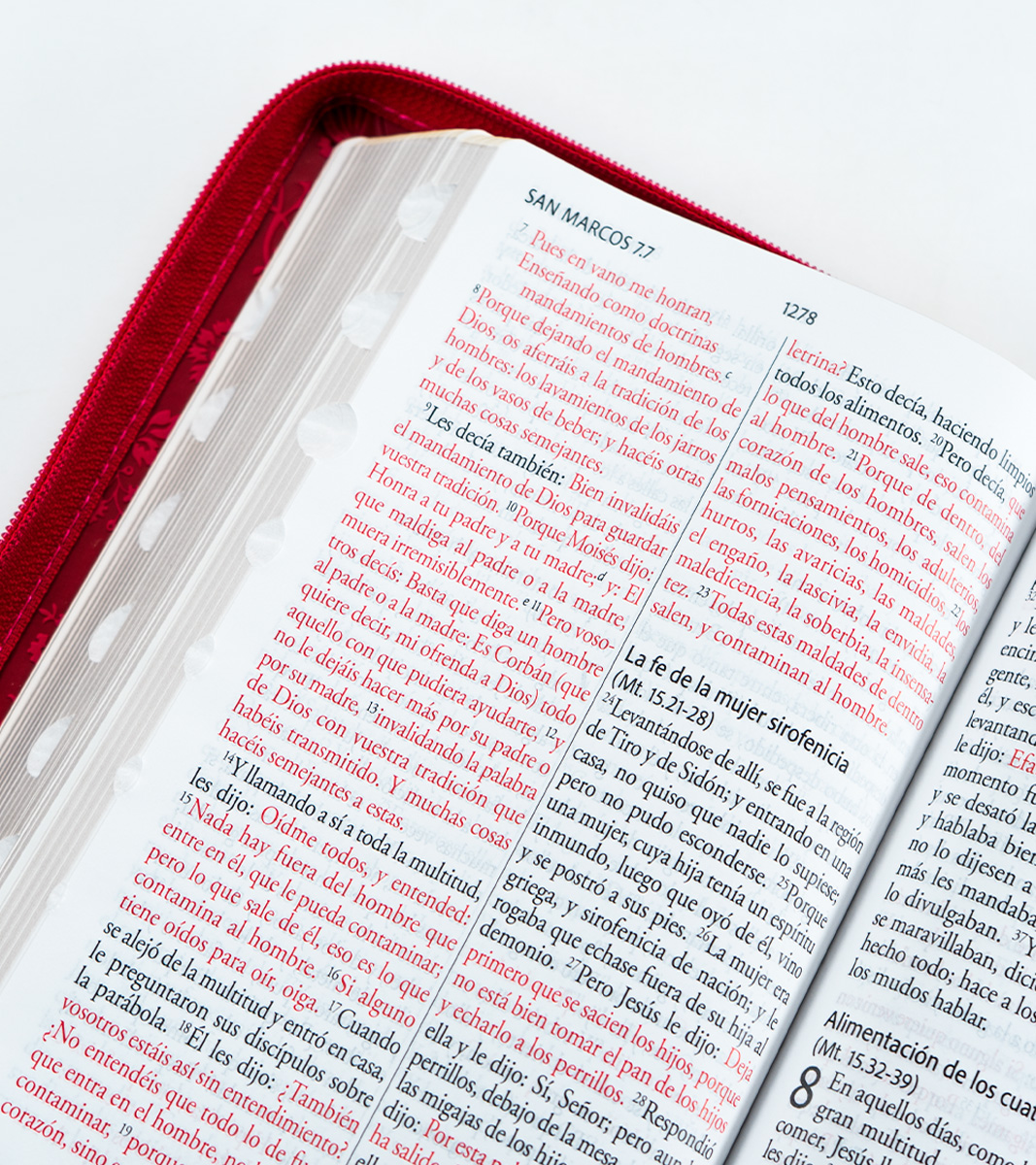 Biblia RVR 1960 Letra Grande Tamaño Manual Con Cierre e Inidice - Imitacion Piel Rosado - Image 6