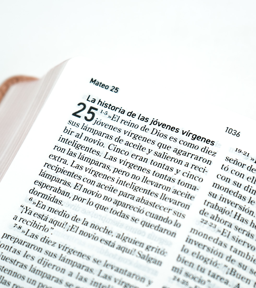 Biblia El Mensaje - Imitacion Piel Rosa - Image 4