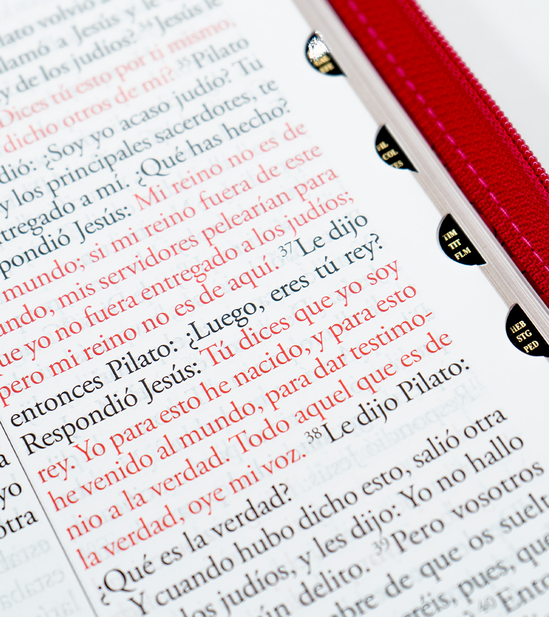 Biblia Letra Super Gigante - RV1960 Imitacion Piel Fucsia Con Cierre e Indice - Image 5