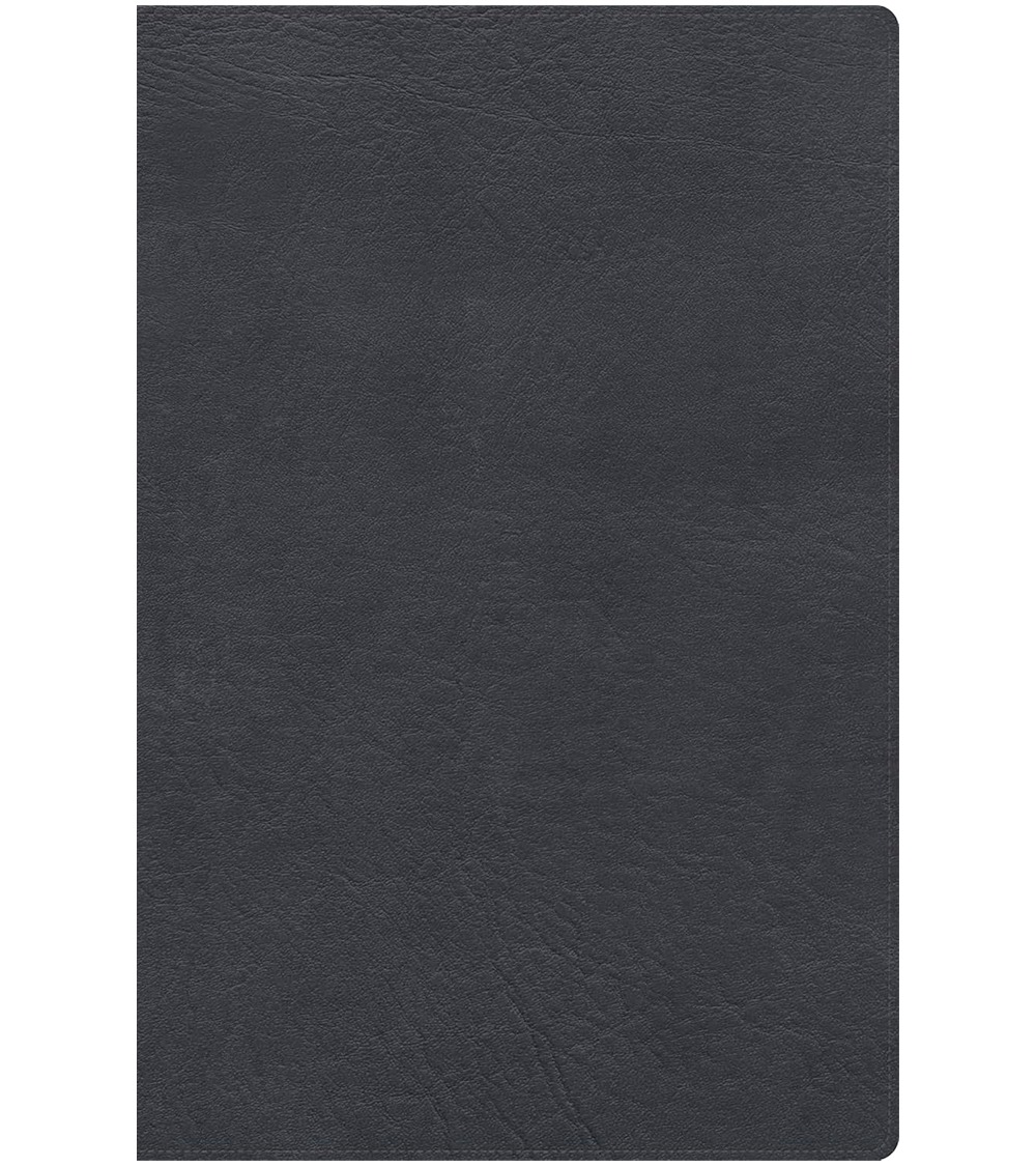 Biblia De Estudio RV 1960 - Letra Gigante - Imitacion Piel Negro