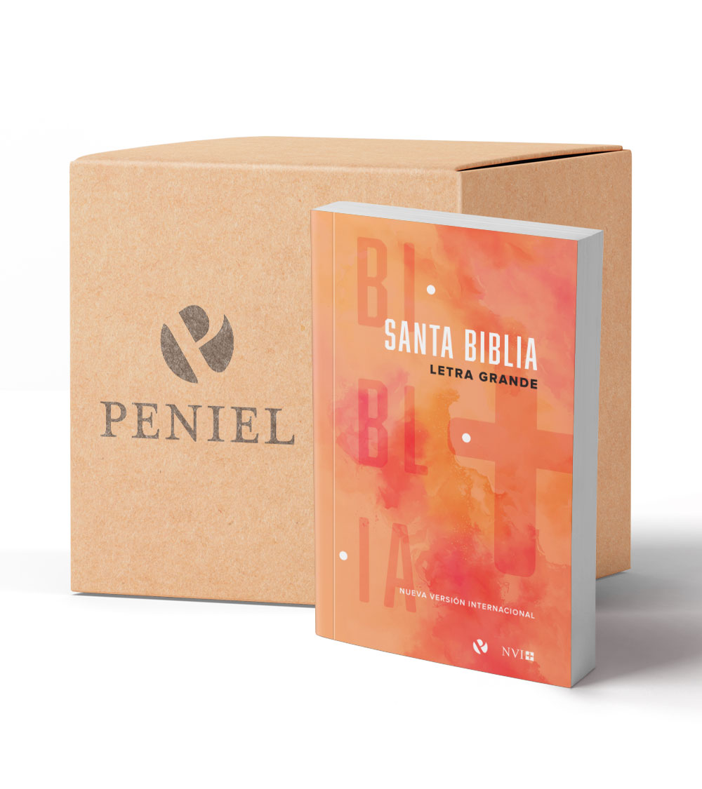 Pack Biblias NVI Letra Grande Naranja  – Caja x 32 Unidades