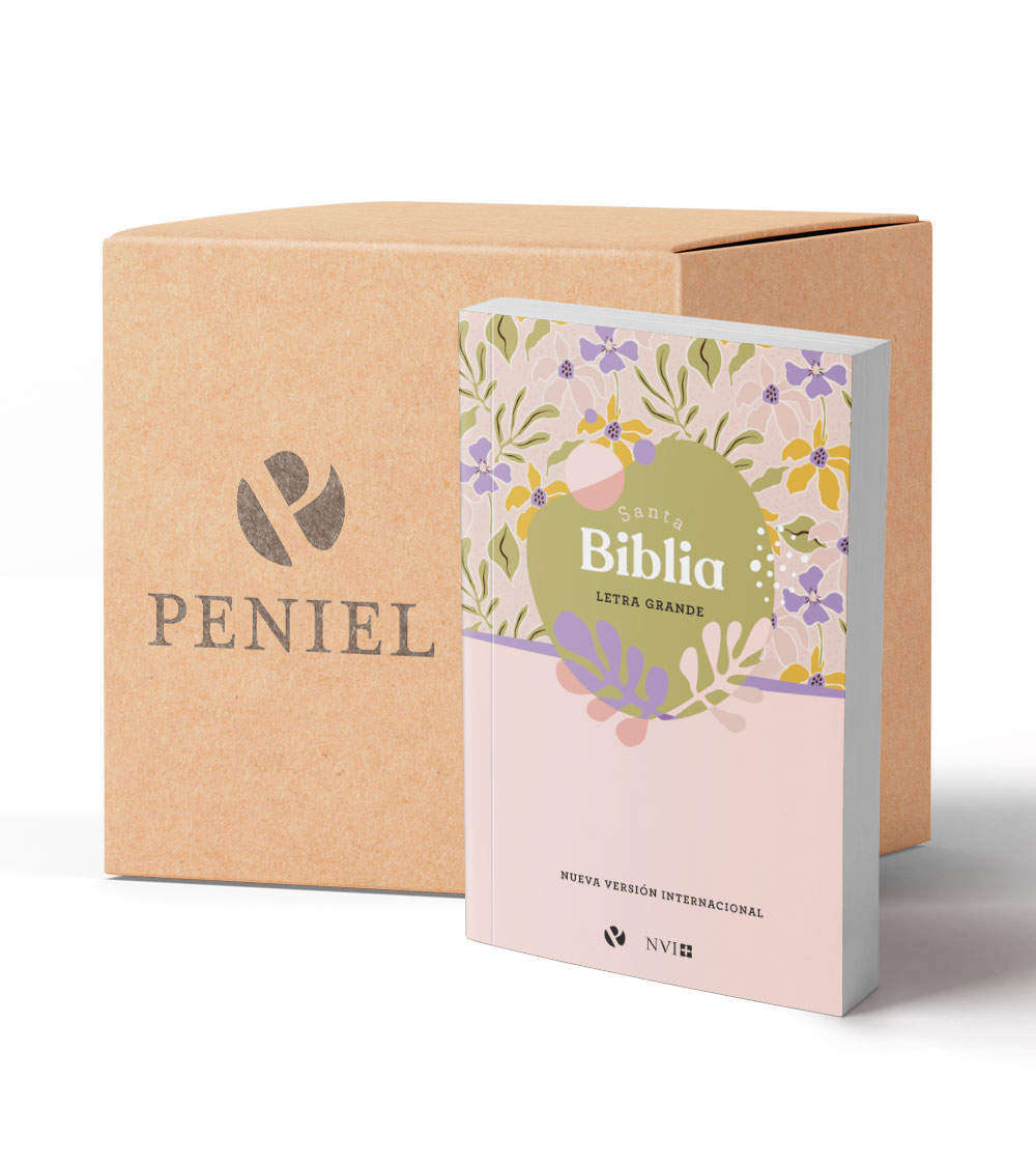 Pack Biblias NVI Letra Grande Lila  – Caja x 32 Unidades