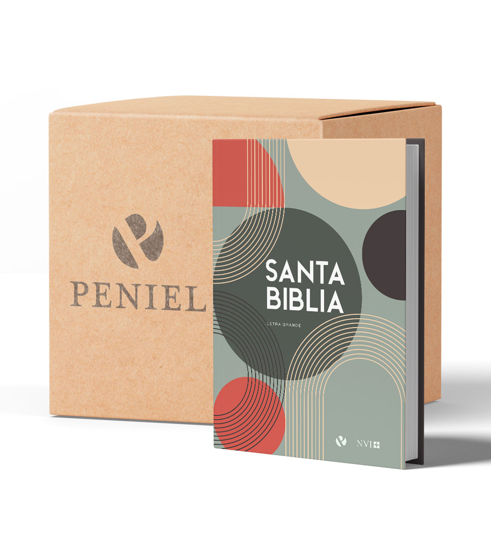 Pack Biblias NVI Letra Grande Circulos  – Caja x 16 Unidades