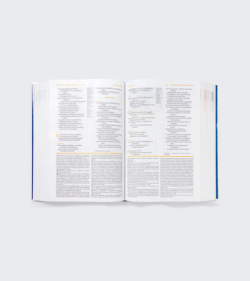 Biblia De Estudio Letra Grande NVI - Tapa Dura - Image 3