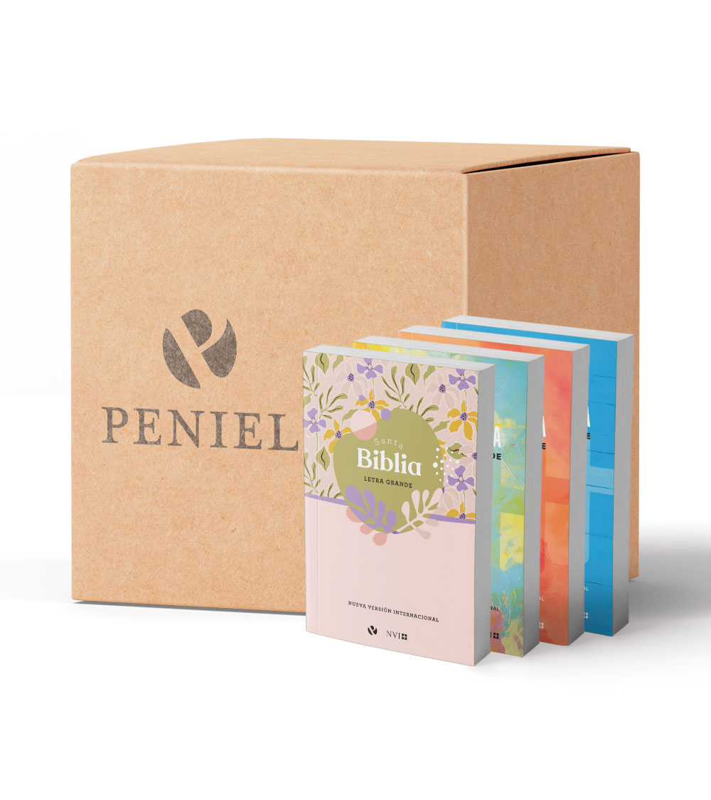 Pack Surtido Biblias NVI Letra Grande – Caja x 32 Unidades