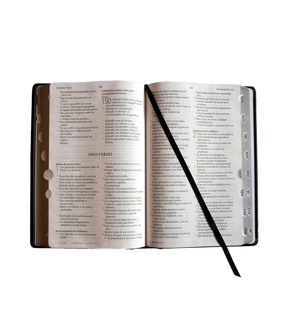 Biblia letra grande tamaño manual – RVR 1960 tapa dura leon de juda plata con indice - Imagen 2